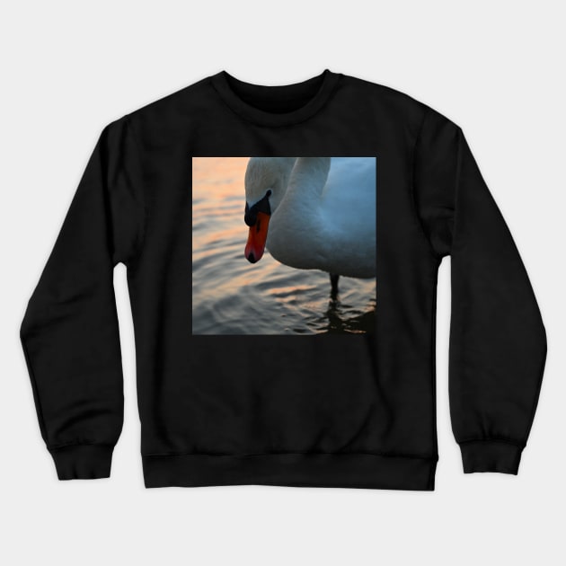 Swan Crewneck Sweatshirt by Kate-P-